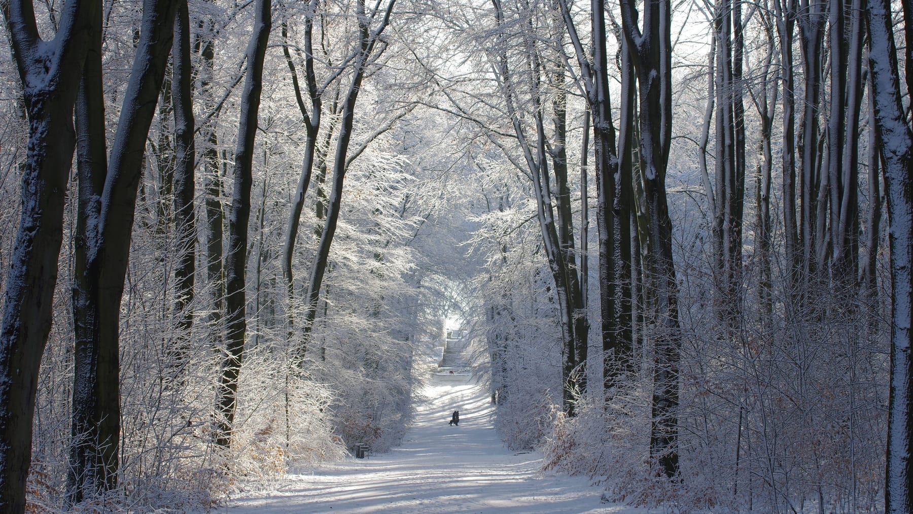 Hamburg Wetter: Erster Schnee Am Wochenende? Glatteis-Gefahr Droht