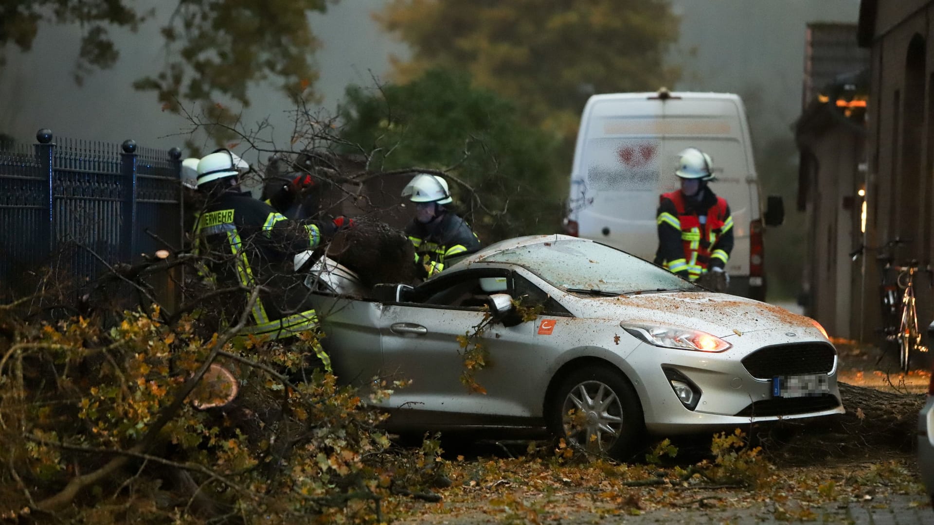 Ein Baum ist auf ein Auto gekracht: Auf dem Rücksitz wäre die Überlebenschance gering gewesen. Ein Baum ist auf ein Auto gekracht: Auf dem Rücksitz wäre die Überlebenschance gering gewesen.