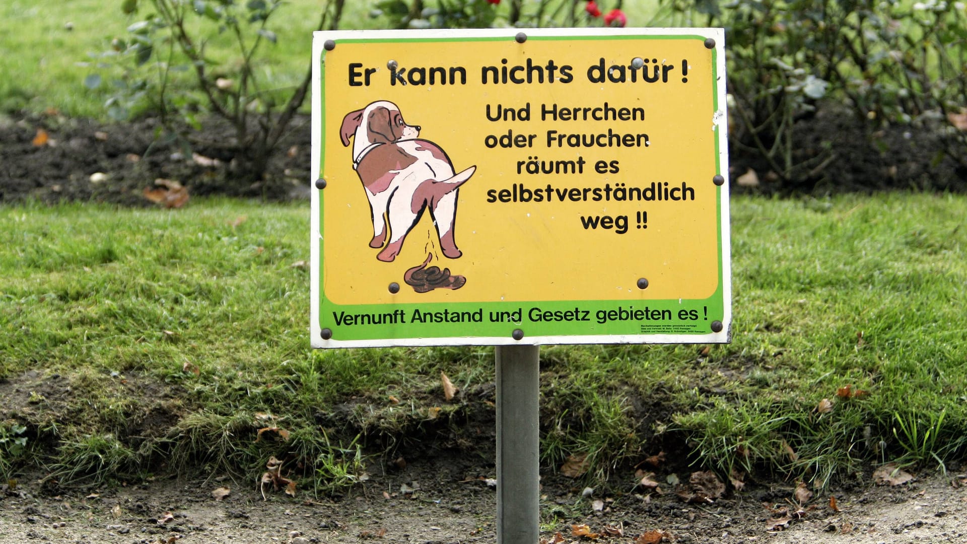 Büsum: Ein Hinweisschild für Hundebesitzer steht an einer Parkanlage.