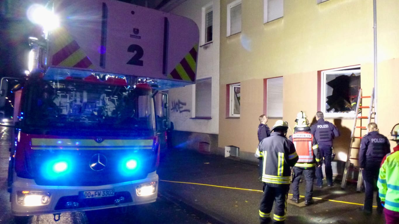 Bei einem Feuerwehreinsatz in Dortmund-Eving hat die Feuerwehr am Montag zwei Babykatzen retten können.