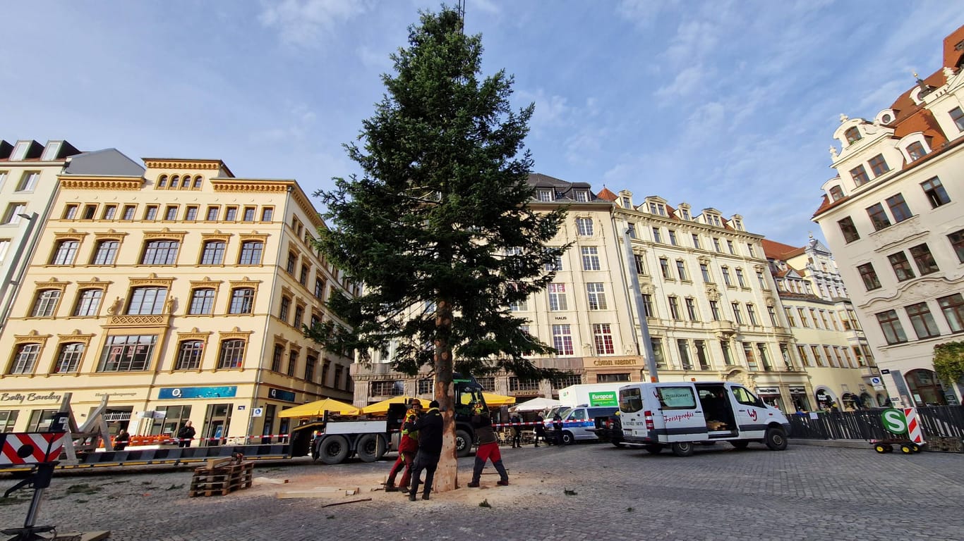 Auf dem Markt in Leipzig Innenstadt wird der Weihnachtsbaum aufgestellt