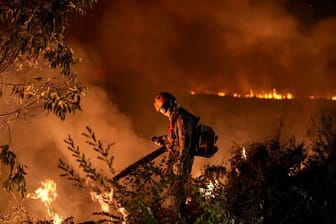 Feuerwehrmann steht inmitten eines Waldbrandes: Brasilien wird derzeit von einer Hitzewelle heimgesucht.