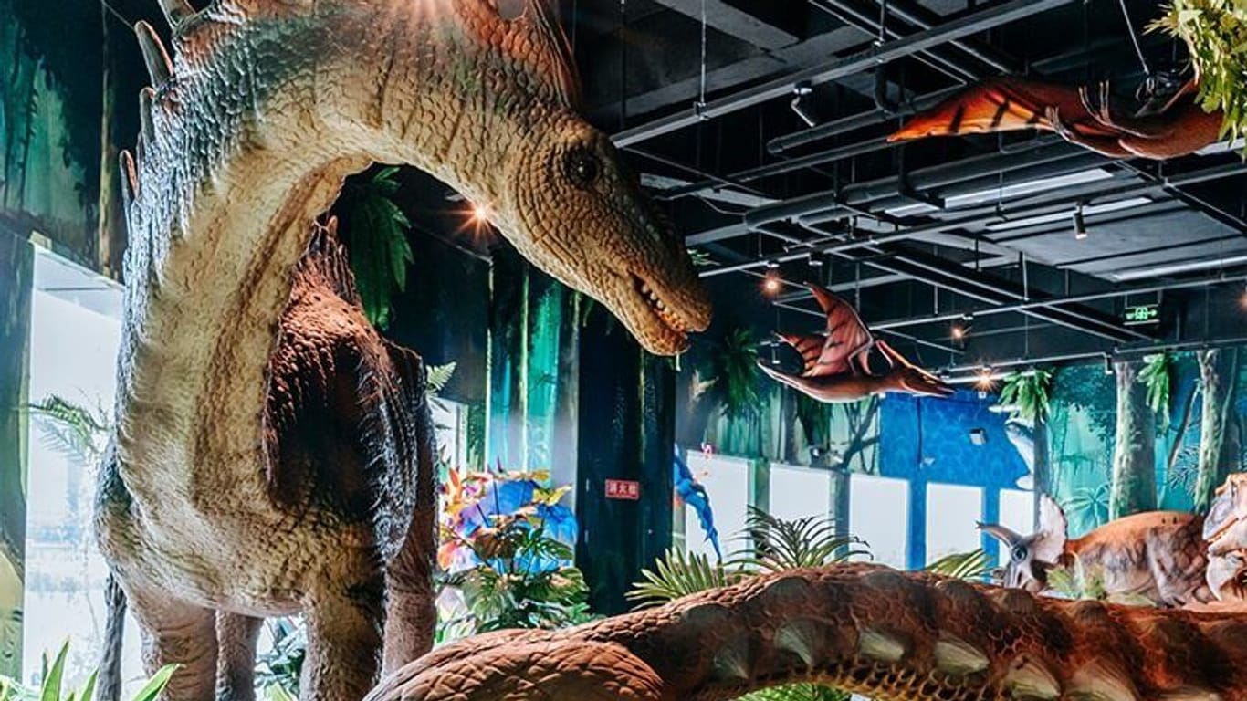 Die Welt der Dinosaurier: In der Westfalenhalle sollen mehr als 50 Giganten der Urzeit ausgestellt werden.