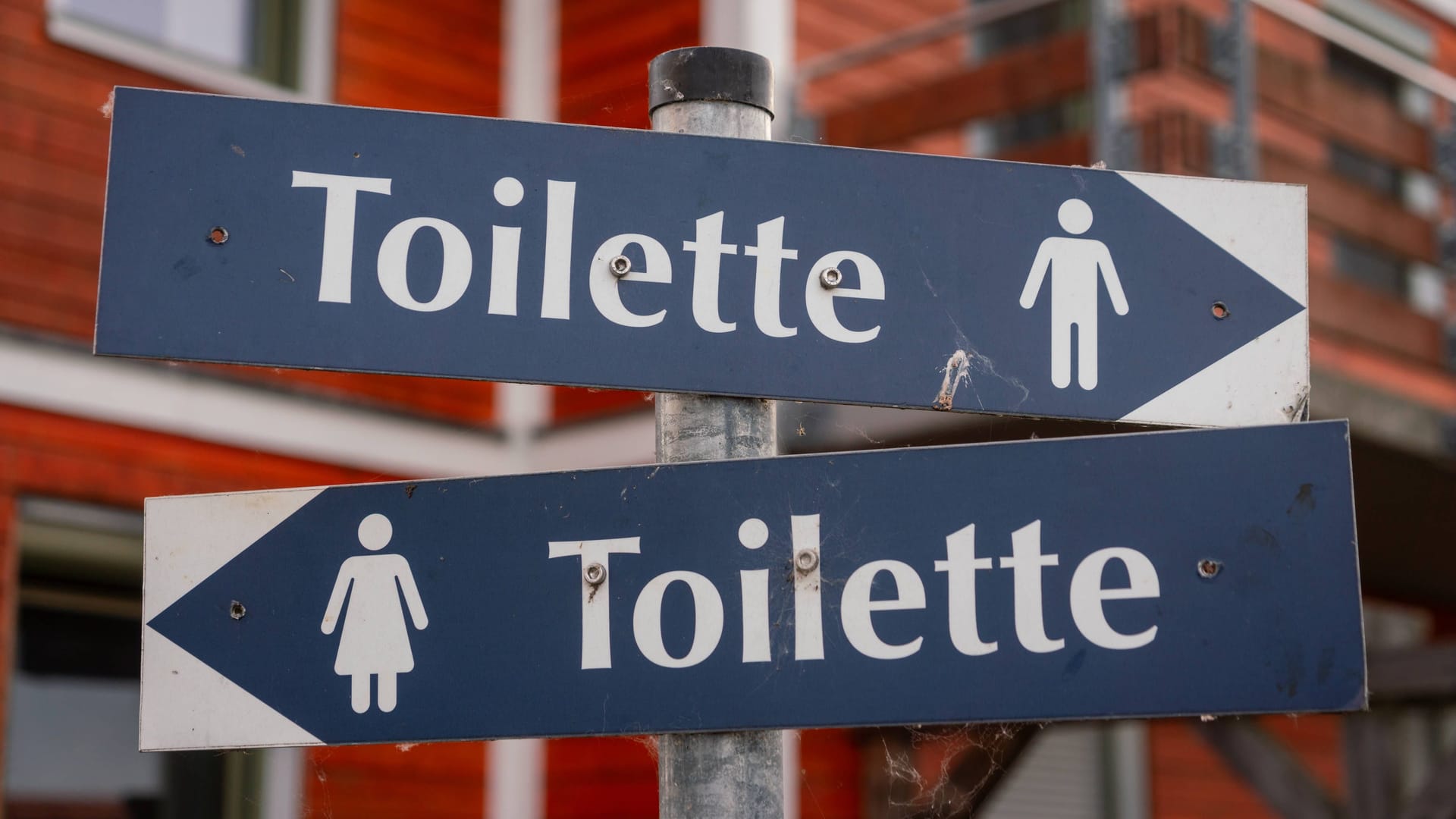 Hinweisschilder für öffentliche Toiletten (Symbolfoto): In Brandenburg ist ein Kind offenbar Opfer eines sexuellen Übergriffs geworden.