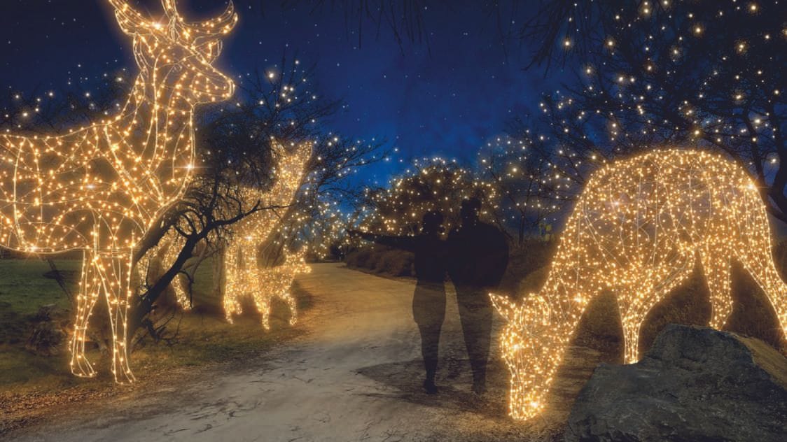 Mehr als 500.000 LEDs lassen den Sonnenlandpark zur Dämmerung erstrahlen.