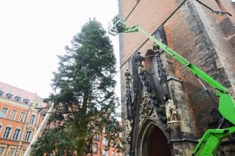 Weihnachtsbaum in Hannover sorgt für Spott und Häme