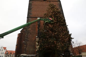 Hannovers umstrittener Weihnachtsbaum: Ist er zu krumm, zu kahl, zu kurios?