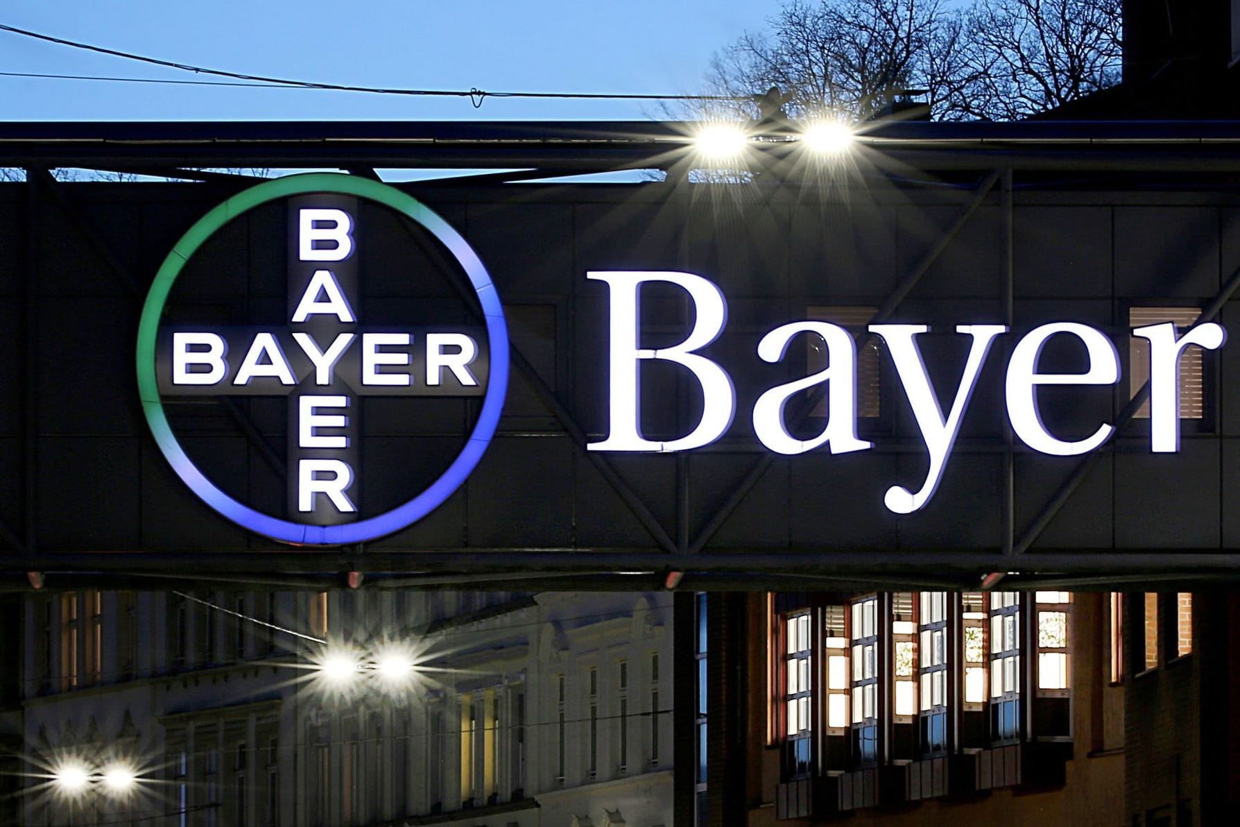 Bayer Bayer
