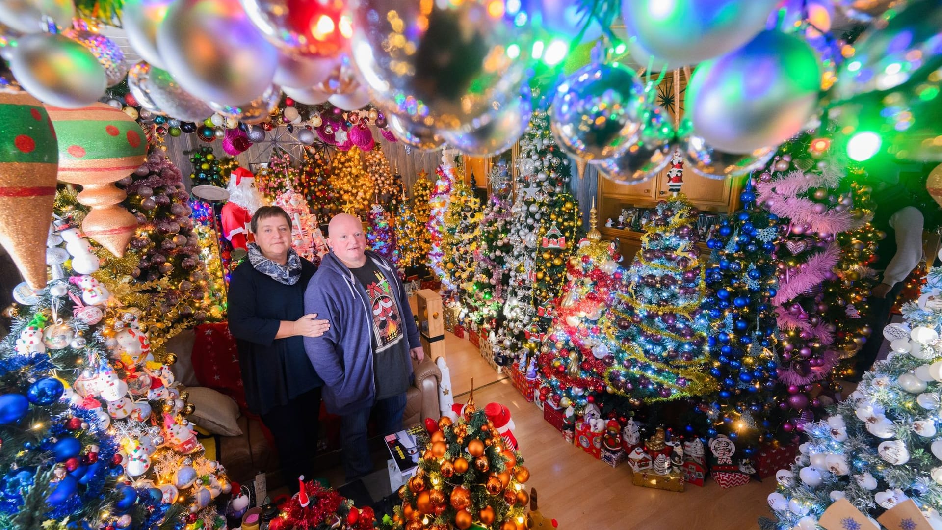 Weihnachtsbäume Weihnachtsbäume