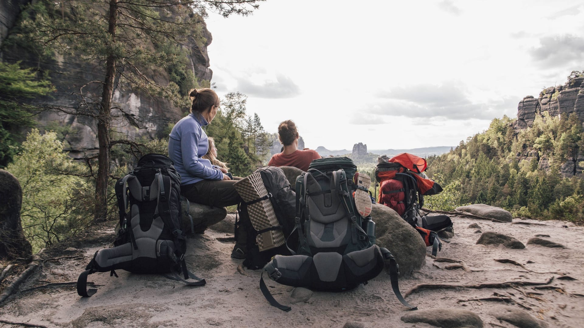 Eine Wandergruppe in der Sächsischen Schweiz (Symbolbild): Die Bundespolizei rechtfertigt den Einsatz, da in der aktuellen Situation jeder mit Ausweiskontrollen rechnen müsste. Eine Wandergruppe in der Sächsischen Schweiz (Symbolbild): Die Bundespolizei rechtfertigt den Einsatz, da in der aktuellen Situation jeder mit Ausweiskontrollen rechnen müsste.
