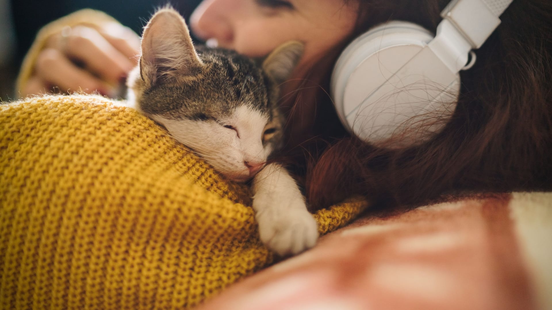 Tiefenentspannt: Ob Katzen in Kuschellaune sind oder nicht, zeigen sie sehr deutlich.