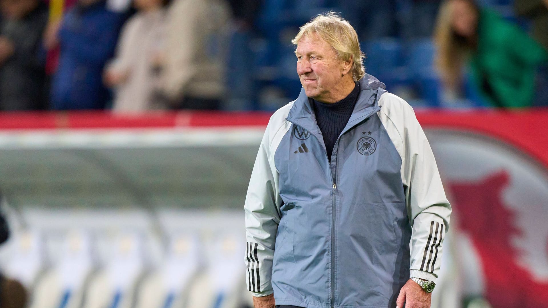 Viel gelobte Interimslösung: Horst Hrubesch.