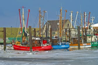 Vereister Hafen in Fedderwardersiel (Archivfoto): Auch in der kalten Jahreszeit ist die Region eine Reise wert.
