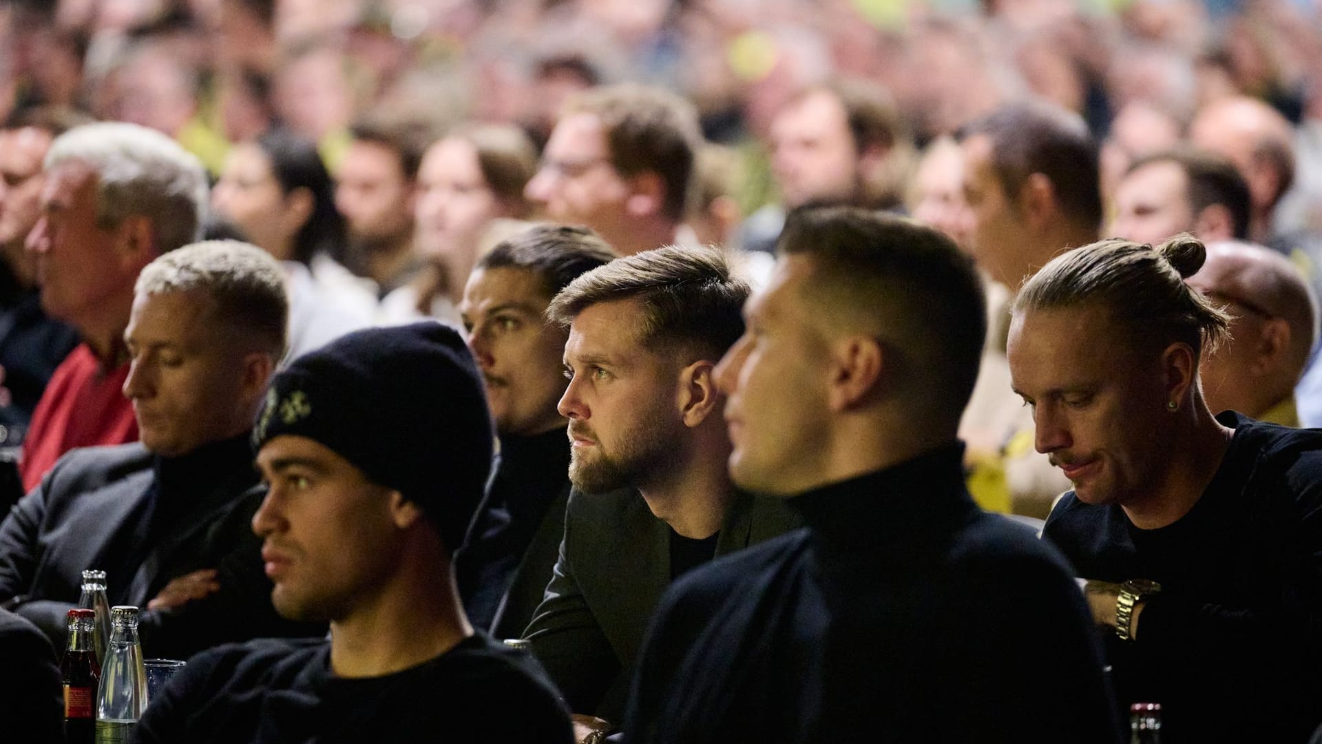 BVB-Profis