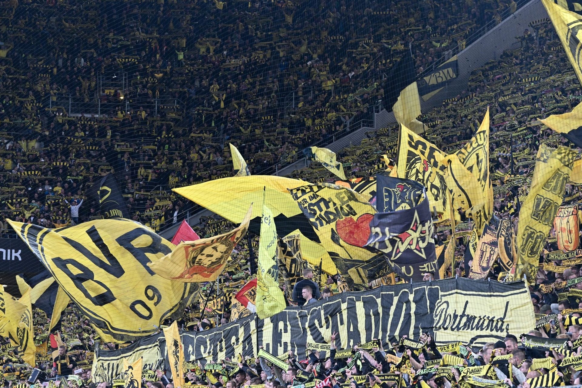 Fans von Borussia Dortmund