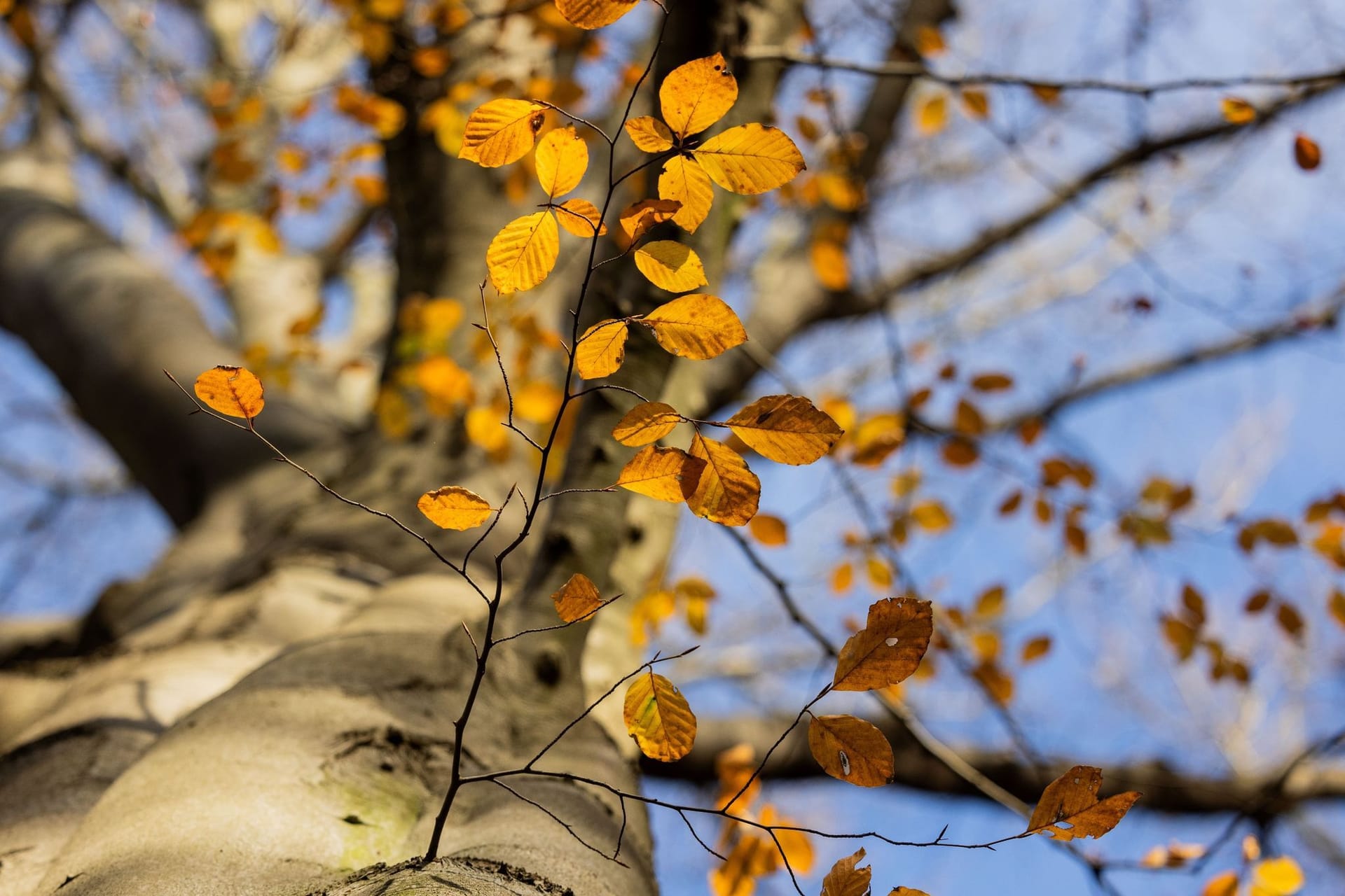 Herbstwetter