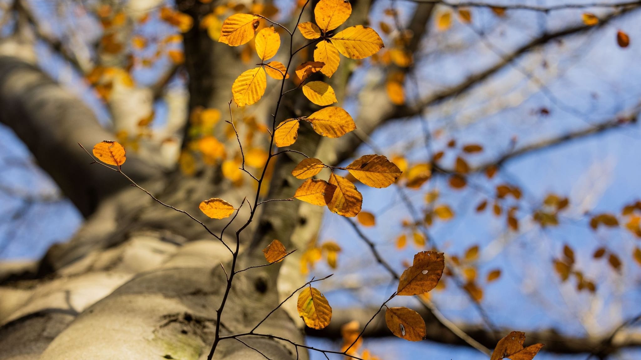 Herbstwetter