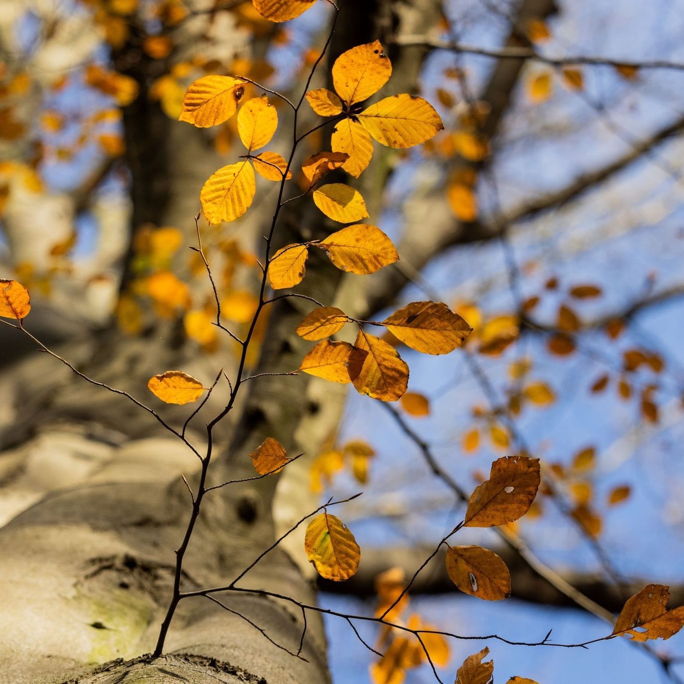 Herbstwetter