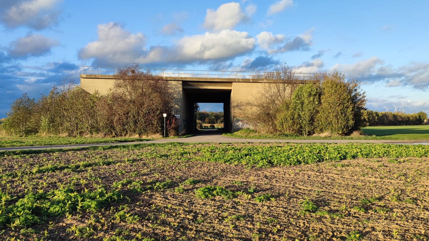Die sogenannte "So-Da-Brücke" bei Euskirchen: Seit 46 Jahren hat die Brücke keine Funktion.