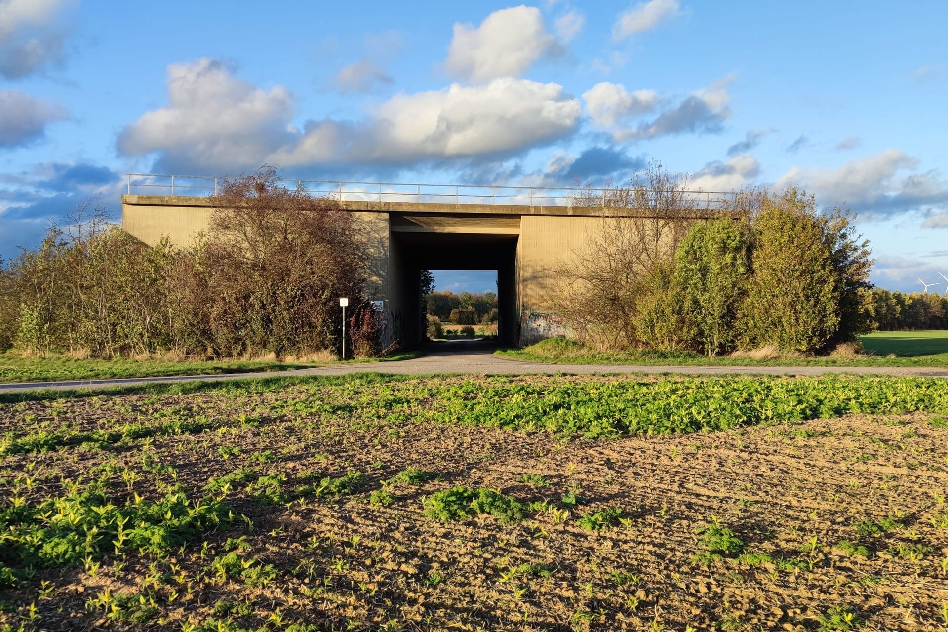 Die sogenannte "So-Da-Brücke" bei Euskirchen: Seit 46 Jahren hat die Brücke keine Funktion.