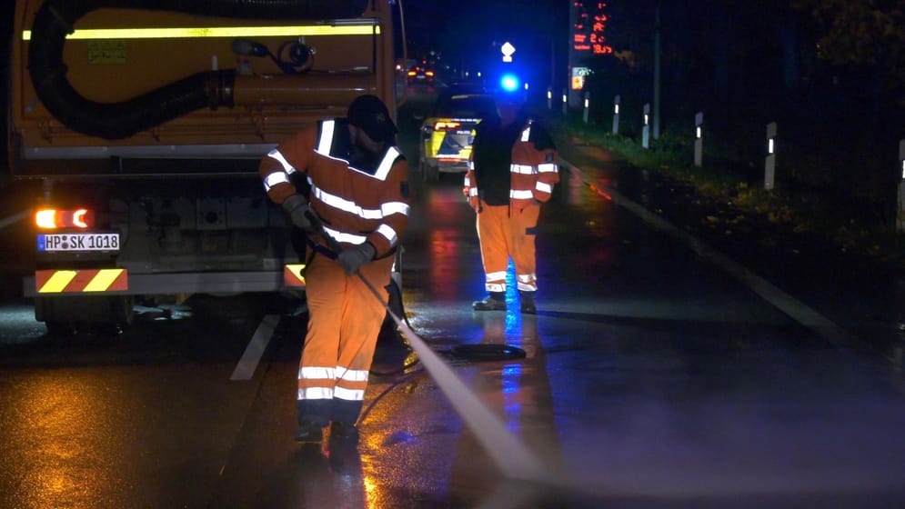 Hessen; Pferd Stirbt Bei Unfall Mit LKW Auf B44 Bei Groß-Gerau