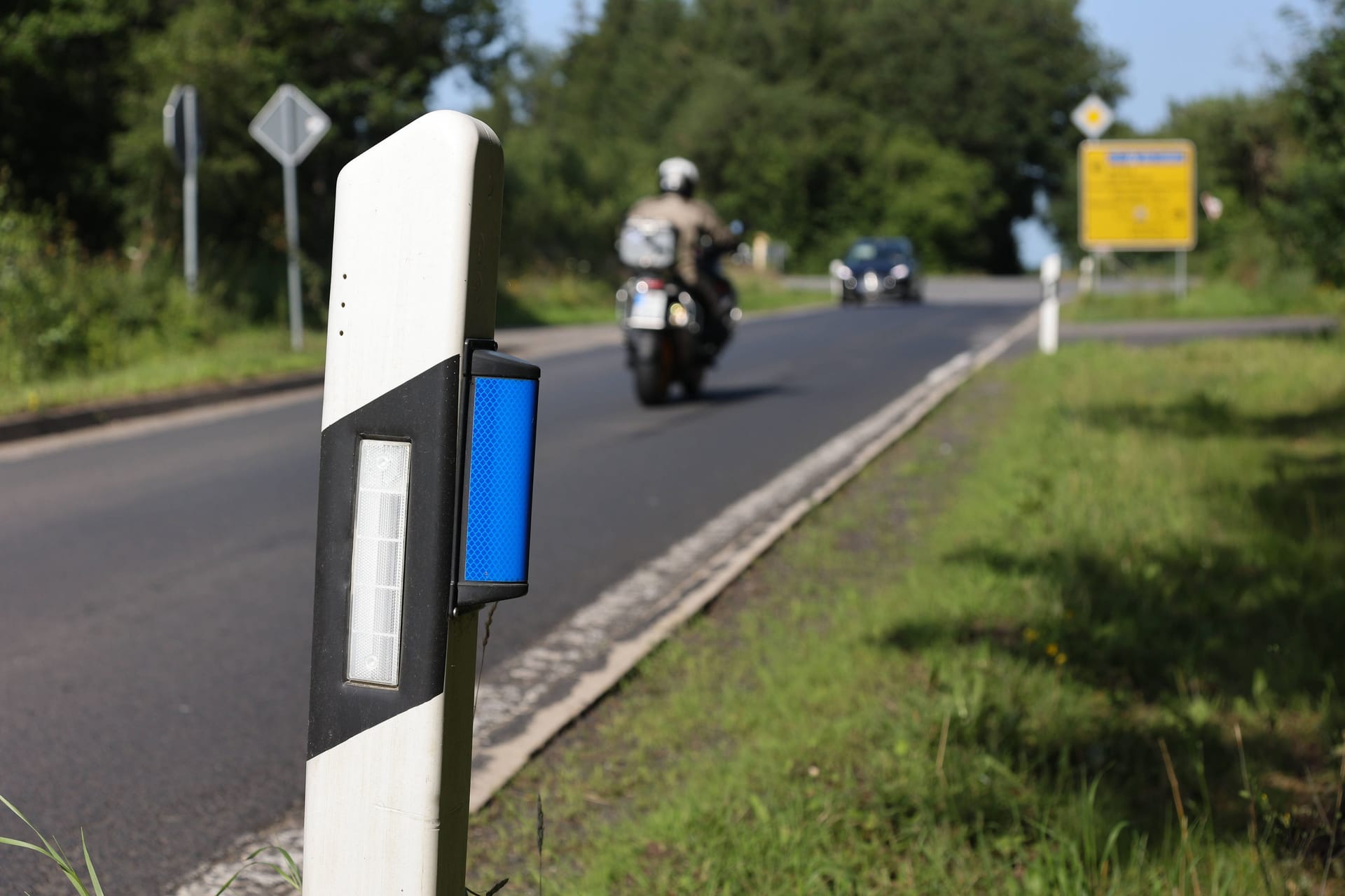 Blauer Reflektor am Leitpfosten: Er weist Autofahrer auf Wildwechsel hin und soll gleichzeitig das Wild vertreiben.