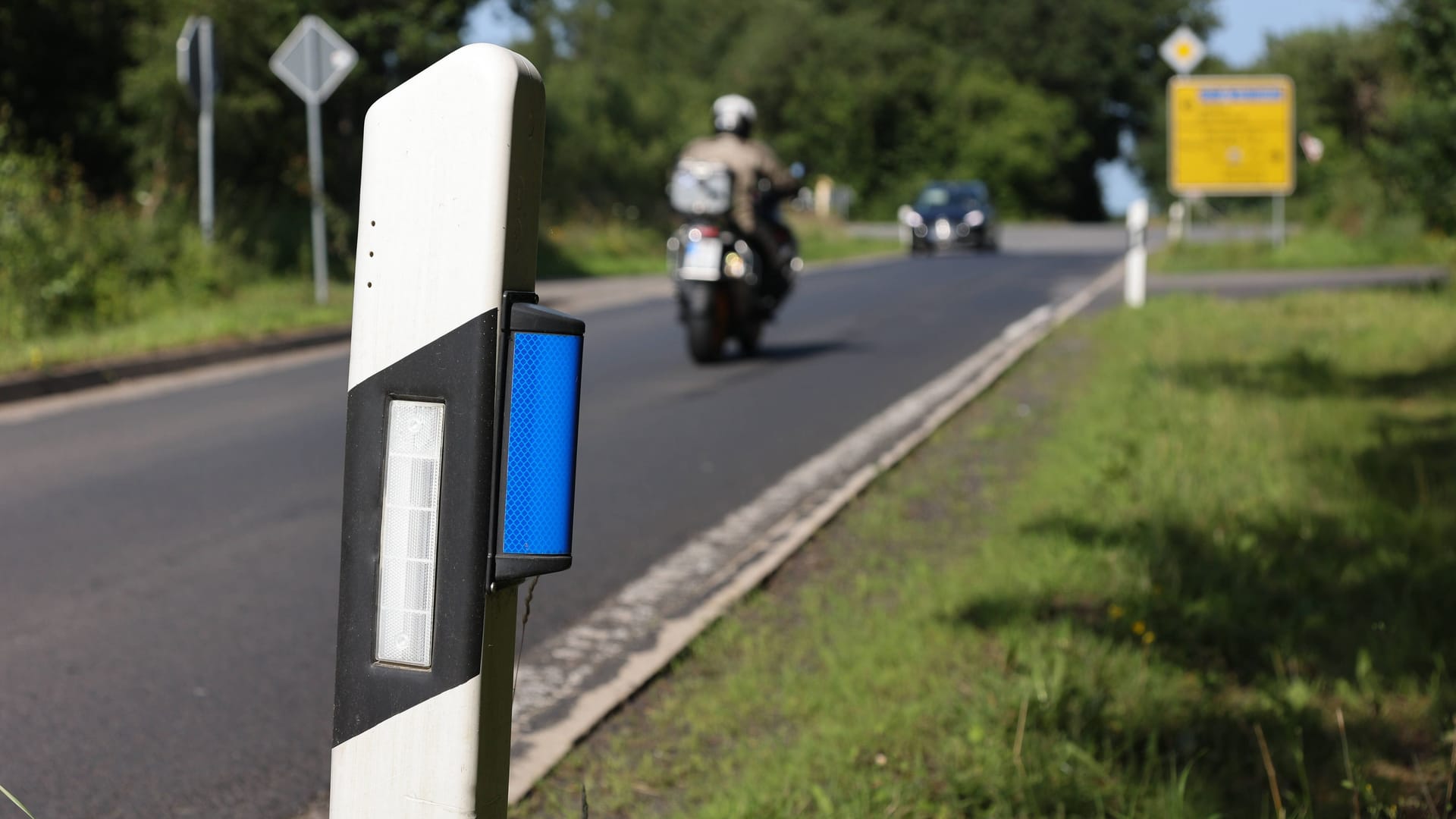 Blauer Reflektor am Leitpfosten: Er weist Autofahrer auf Wildwechsel hin und soll gleichzeitig das Wild vertreiben.