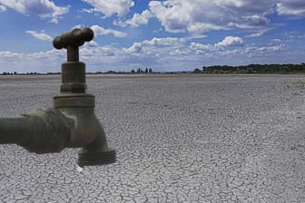 Verdorrter Boden als Folge des Klimawandels (Symbolbild): Die UN warnt ausdrücklich.