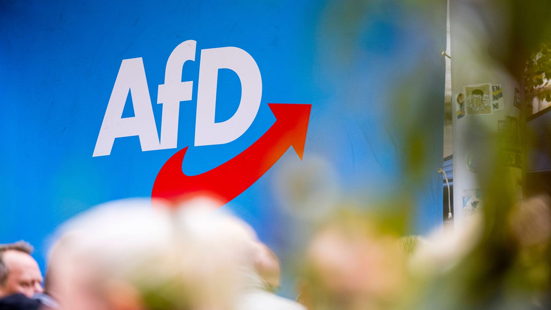 Federal Constitutional Court: AfD fails in Corona lawsuit News