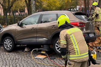 Berlin: Ein Wildschwein geriet unter ein Auto. Die Feuerwehr musste es retten.