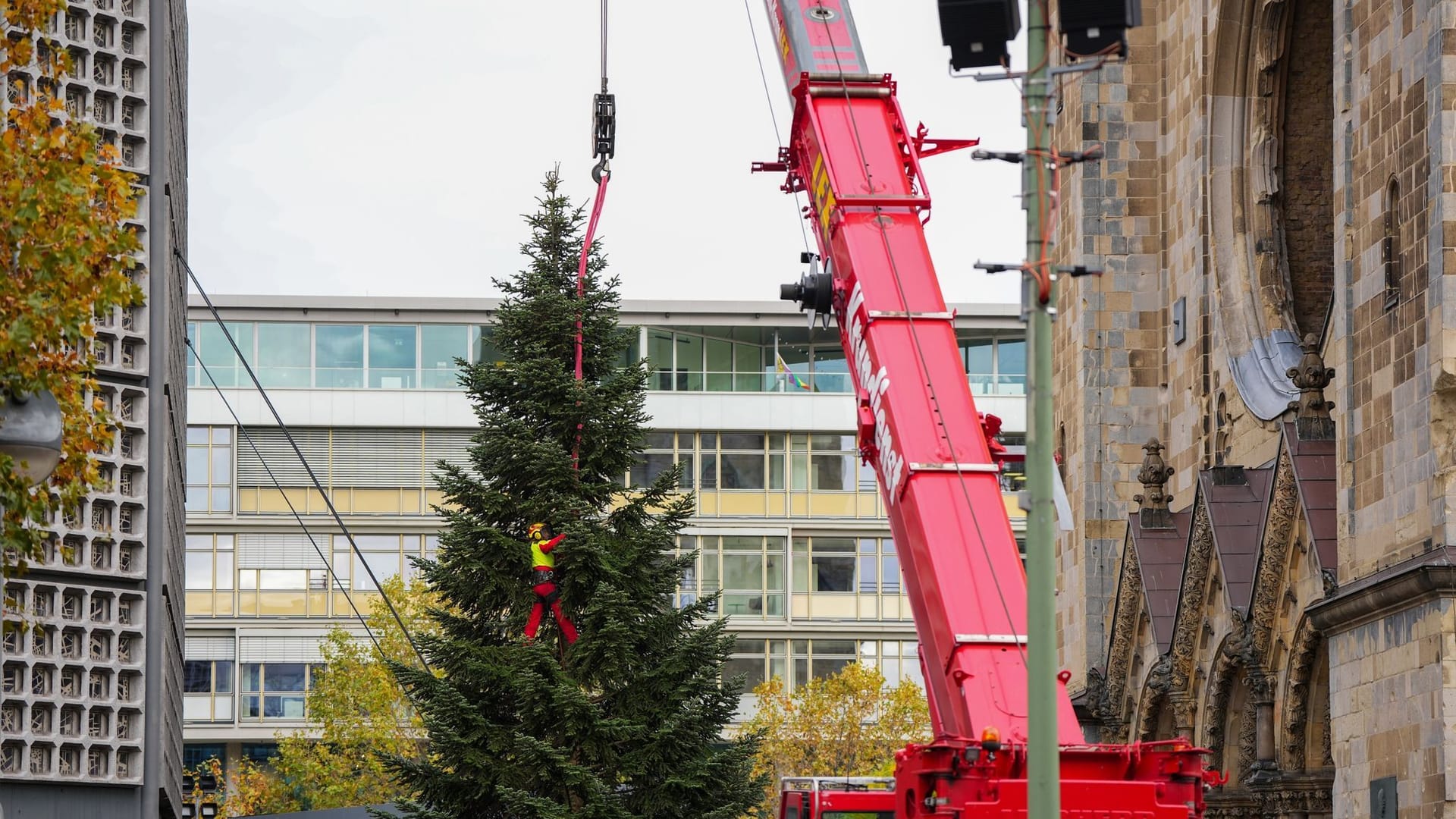 Weihnachtsbaum an der Gedächtniskirche aufgestellt Weihnachtsbaum an der Gedächtniskirche aufgestellt