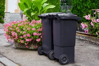 Mülltonnen; Die Abfallbehälter sollten nicht zu früh an den Straßenrand gestellt werden.