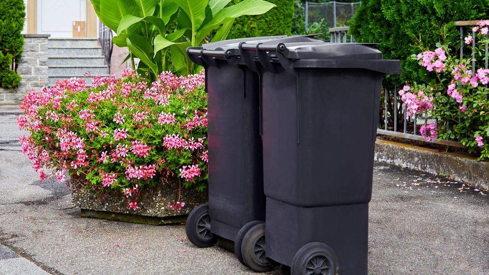 Mülltonne rausstellen Ab wann Sie es dürfen und wann ein Bußgeld droht
