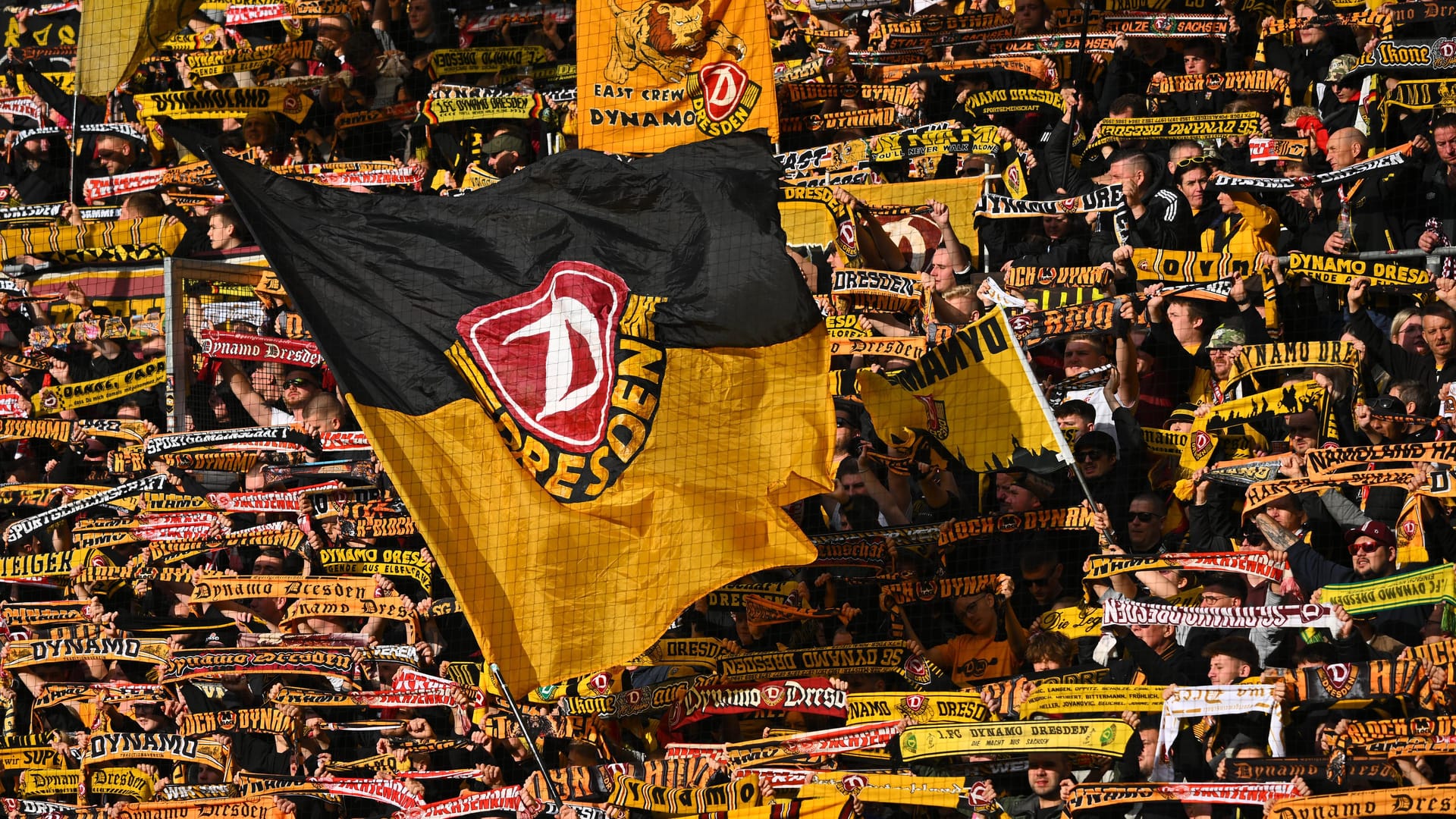 Fans von Dynamo Dresden (Archivbild): Ein Nachwuchs-Fußballer des Vereins wurde in einer Straßenbahn attackiert.