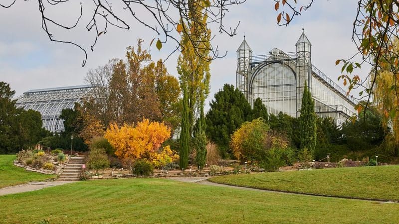 Das Mittelmeerhaus steht im Botanischen Garten in Berlin. Das Mittelmeerhaus steht im Botanischen Garten in Berlin.