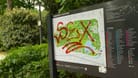 Ein mit dem Wort Sex beschmierter Wegweiser im Stadtpark: Er steht nahe dem Gebüsch, in dem das Mädchen missbraucht wurde.