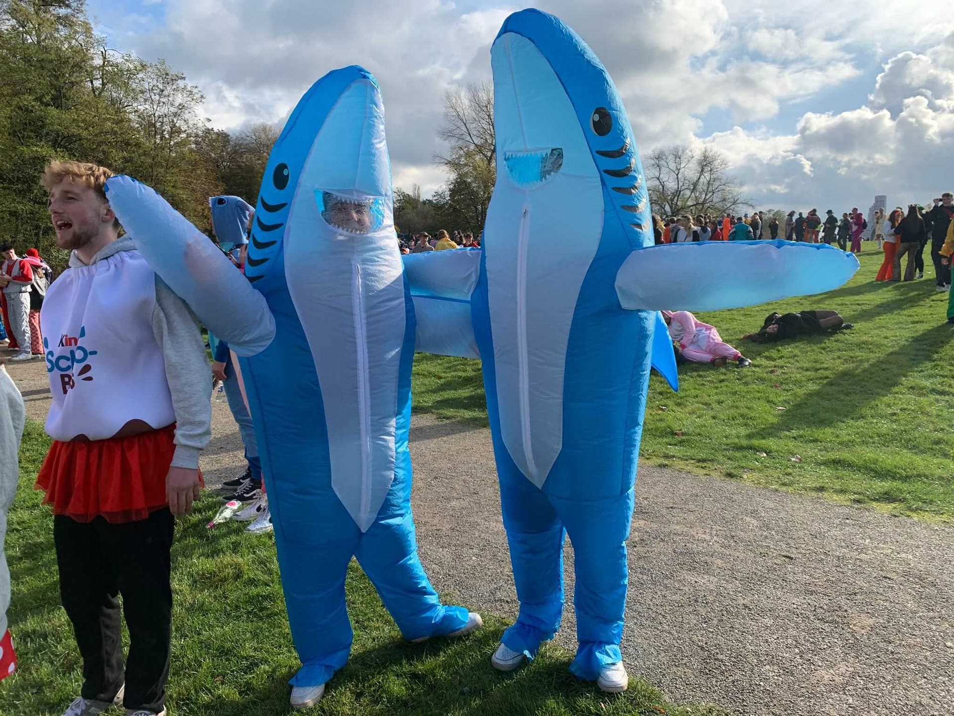 Diese Haie sind offenbar aus dem Aachener Weiher gestiegen.