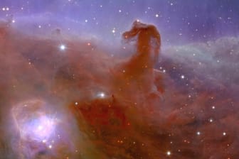 Pferdekopfnebel: Die Dunkelwolke befindet sich etwa 1.500 Lichtjahre von der Erde entfernt im Sternbild Orion.