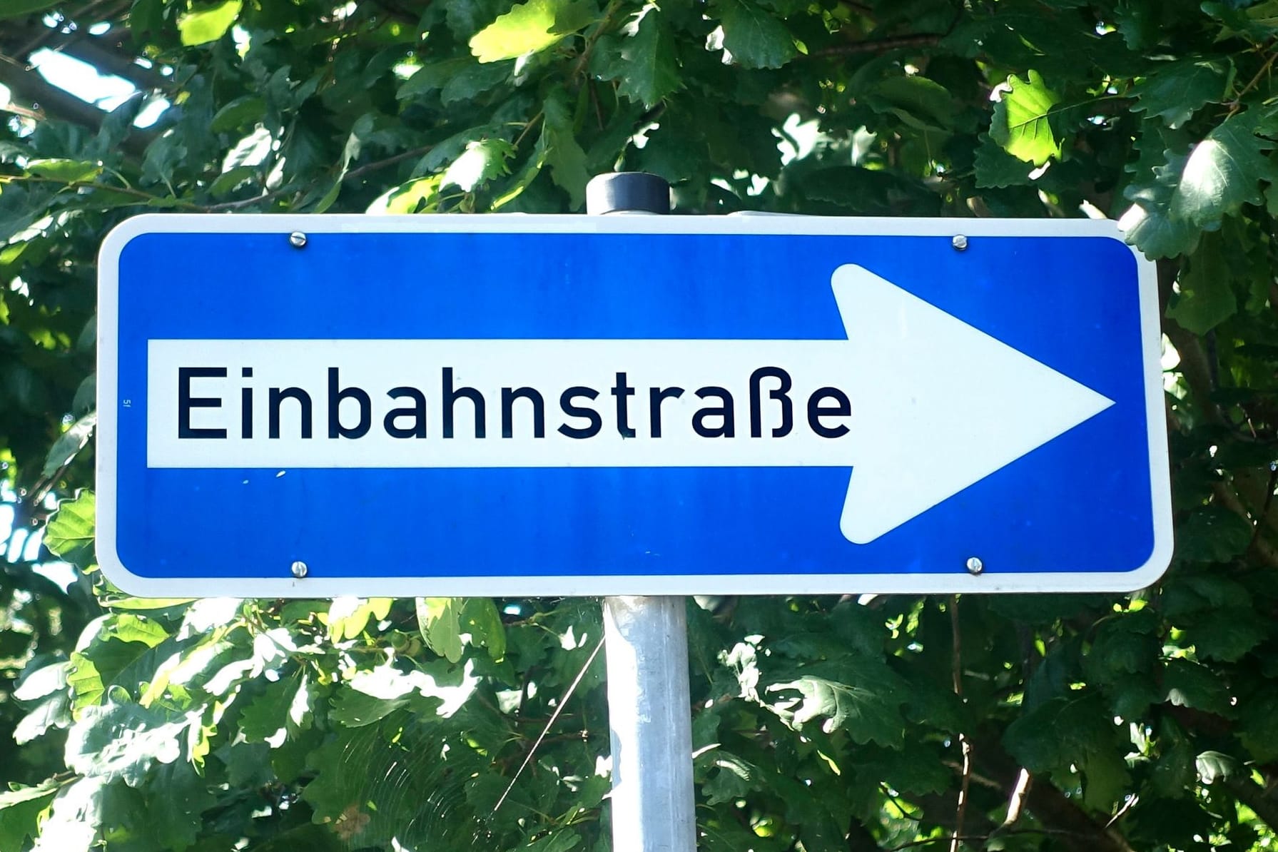 Einbahnstraße: Das Rückwärtsfahren ist hier generell nicht erlaubt. Allerdings gibt es zwei Ausnahmen.