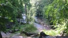 Steilhang unterhalb des Randel-Parks am Alsterwanderweg im Stadtteilbereich Hamburg-Poppenbüttel.