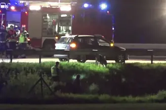 Auto auf dem Standstreifen auf der A9: Darin wurde die Leiche von Carolin G. gefunden.