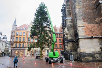 Arbeiter schmücken mithilfe von Hubsteigern den Weihnachtsbaum vor der Marktkirche: Der sorgt nun für Spott und Häme.