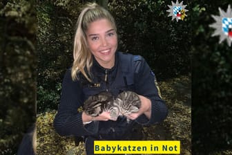Da lacht sogar die Polizei: Eine Streife der Polizeiinspektion Nürnberg West hat fünf Babykatzen gerettet.