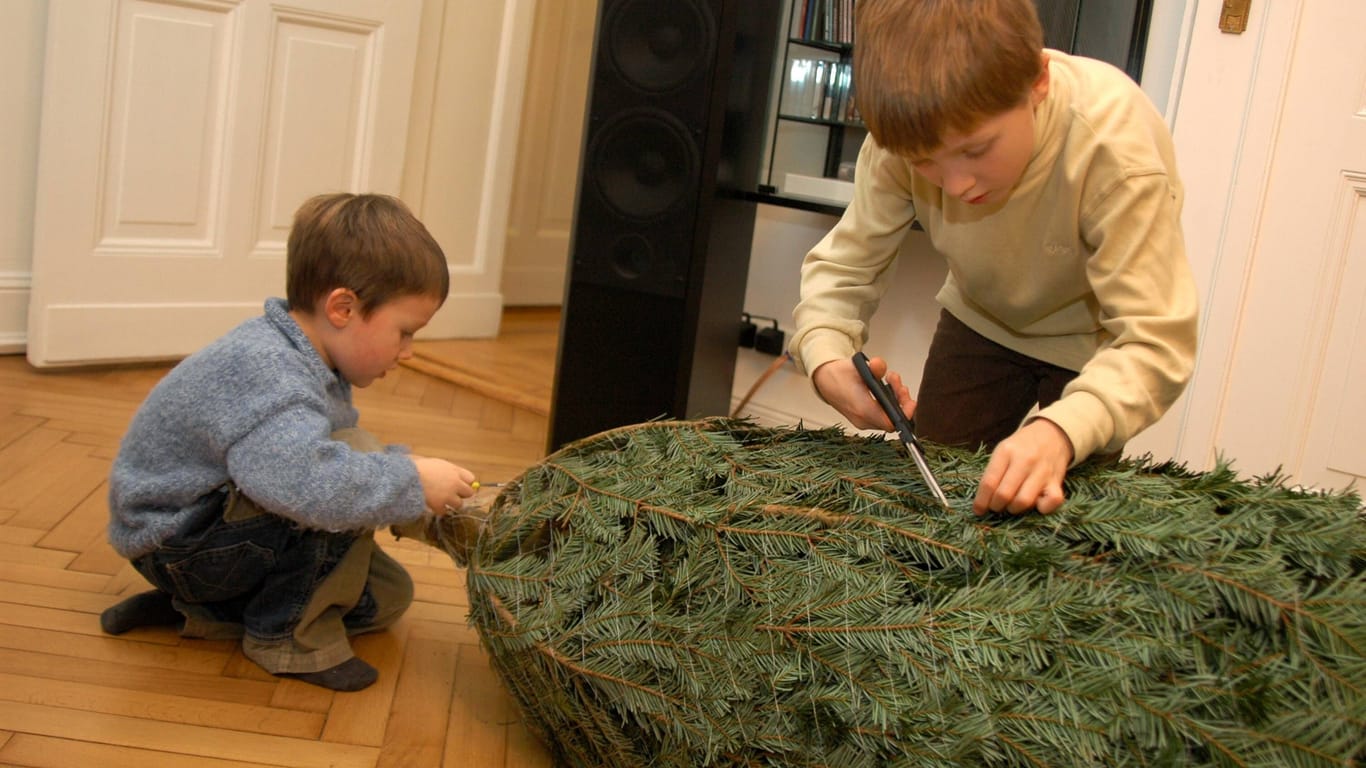 Kinder mit einem Weihnachtsbaum (Symbolbild): Beim Aufstellen gibt es einiges zu beachten.