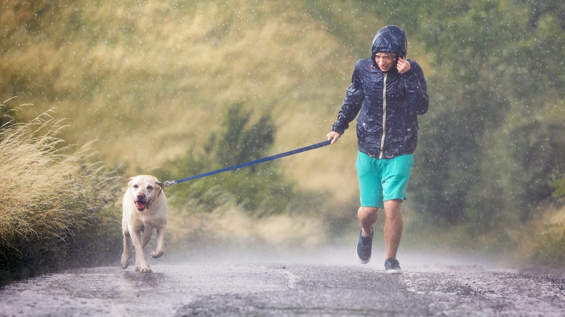 Spaziergänger mit Hund im Regen (Symbolbild): Auf einer Landstraße, die Person hält die eigene Regenjacke fest. Spaziergänger mit Hund im Regen (Symbolbild): Auf einer Landstraße, die Person hält die eigene Regenjacke fest.