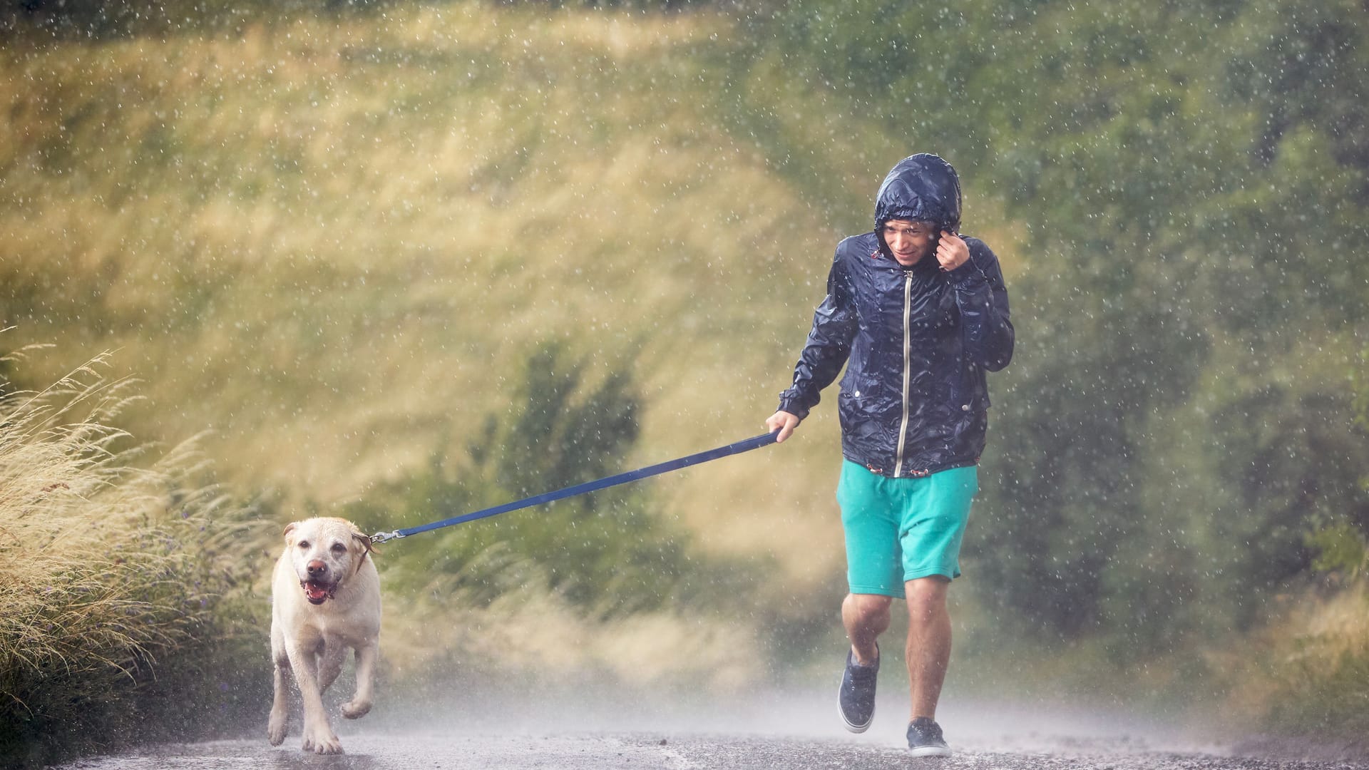 Spaziergänger mit Hund im Regen (Symbolbild): Auf einer Landstraße, die Person hält die eigene Regenjacke fest.