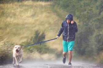 Spaziergänger mit Hund im Regen (Symbolbild): Auf einer Landstraße, die Person hält die eigene Regenjacke fest.