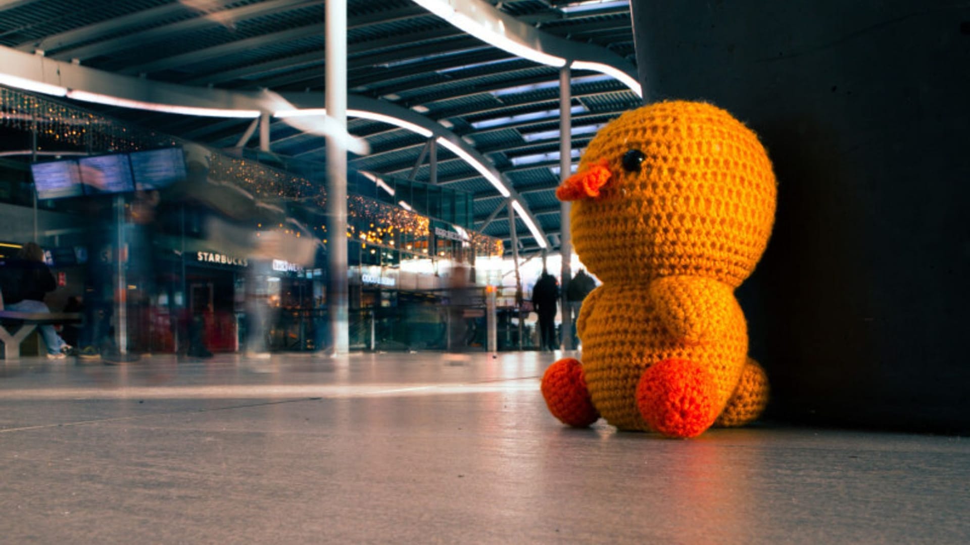 «Woche des verlorenen Kuscheltiers»