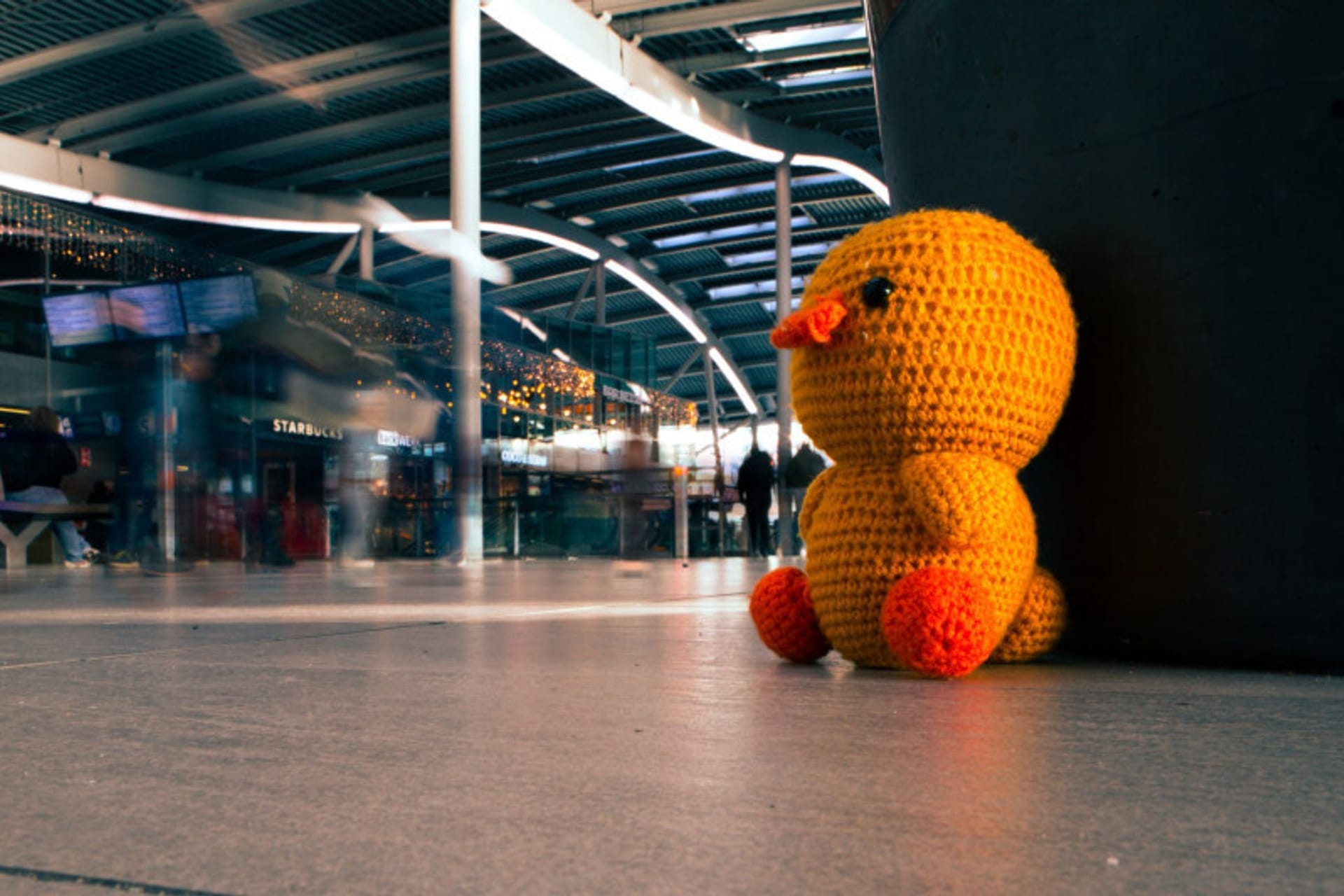 «Woche des verlorenen Kuscheltiers»