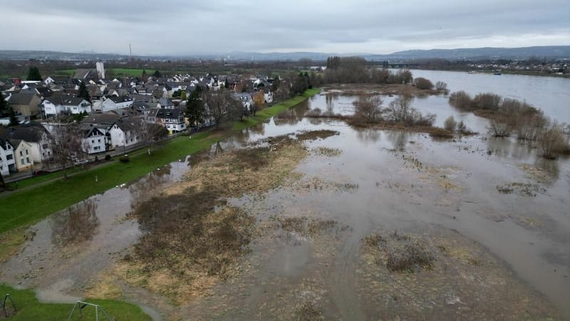 Die Uferwiese des Rheinortes Kaltenengers ist vom Hochwasser des Rheins überflutet.